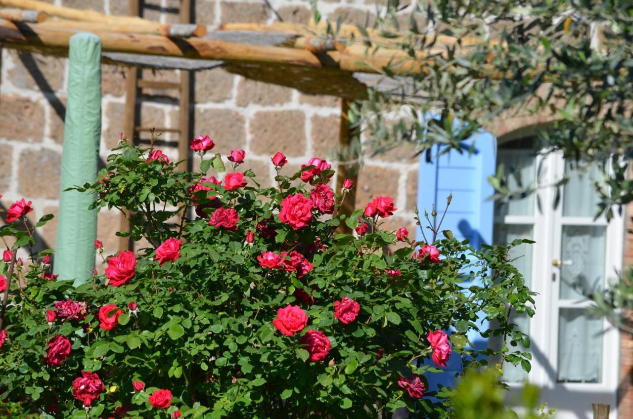 Podere Delle Rose Torre San Severo Eksteriør billede