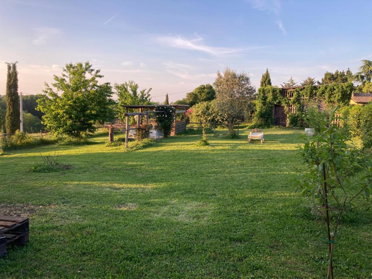 Podere Delle Rose Torre San Severo Eksteriør billede