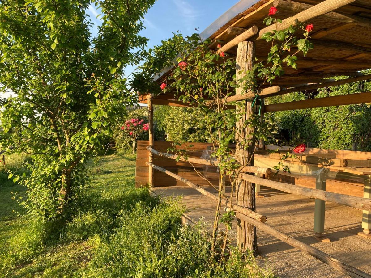 Podere Delle Rose Torre San Severo Eksteriør billede