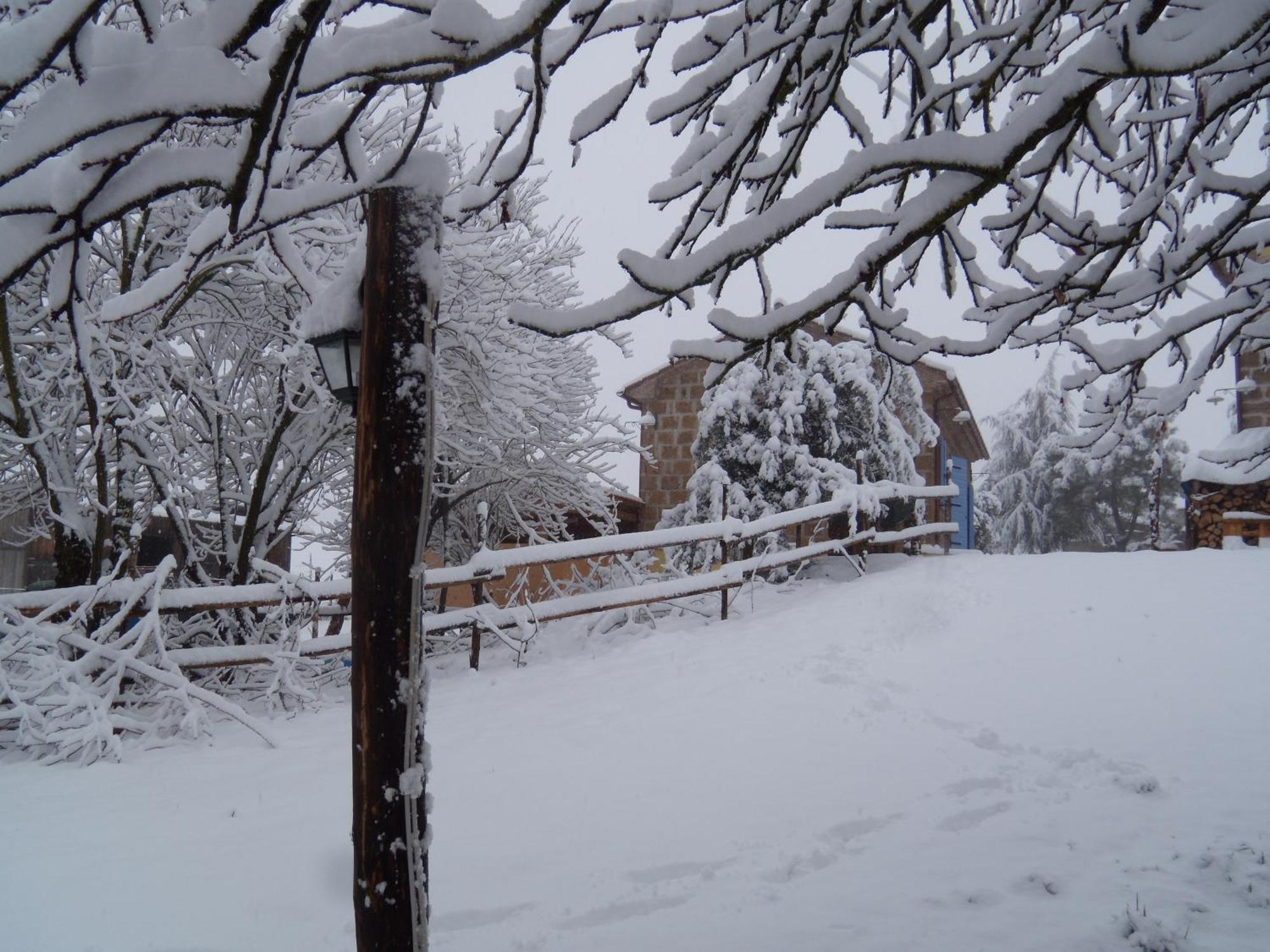 Podere Delle Rose Torre San Severo Eksteriør billede