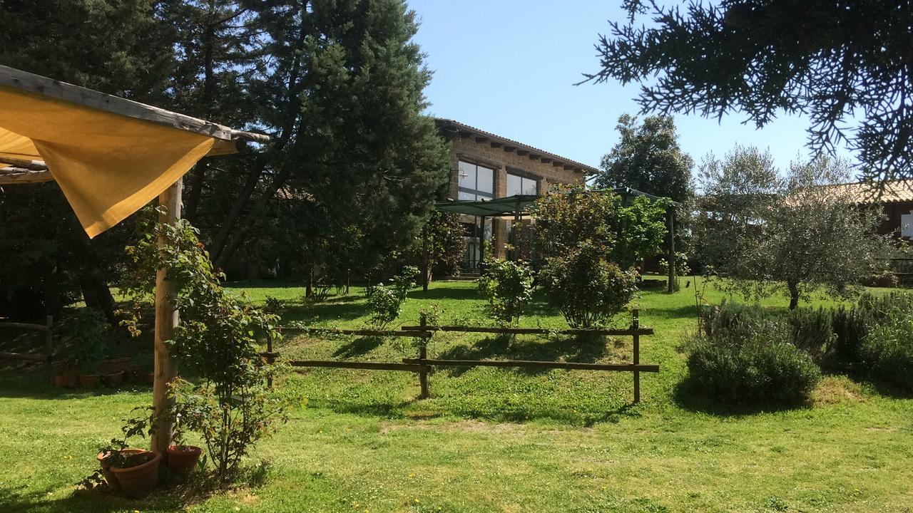 Podere Delle Rose Torre San Severo Eksteriør billede