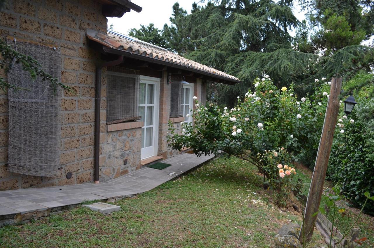Podere Delle Rose Torre San Severo Eksteriør billede